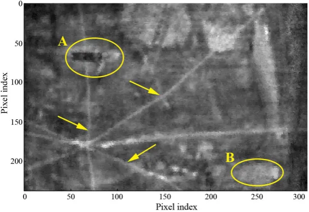 Fig. 13 Phase image after LT for the canvas painting.   