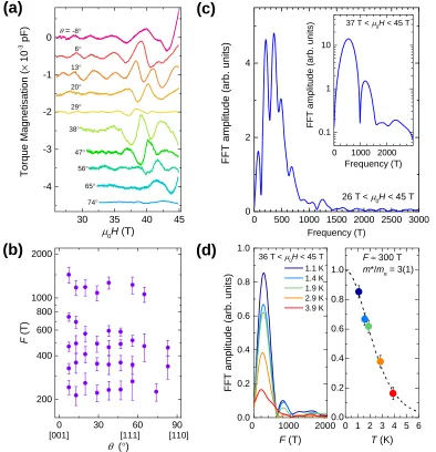 Figure 2. (a) Solid lines show de Haas-van Alphen oscillations measured on a single crystalof YbB12 using torque magnetisation at T = 0.4 K for µ0H oriented at different tilt angles(θ) away from the [001] crystalline direction, passing through the [111] cr