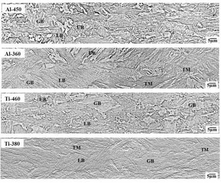 Fig. 5: Higher magnification scanning electron micrographs (SEM) of the investigated samples (mentioned within the respective image) at the sub surface region (~300-400µm from the top surface)