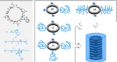 Figure 2: Summary of the different CP-polymer conjugates used in this study 