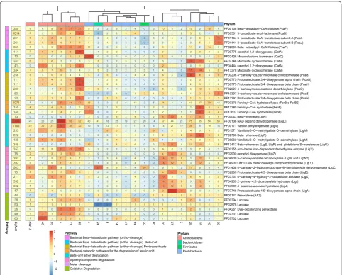Fig. 5 Pfam domains related to aromatic compound degradation pathways. Pfam domains were identified in bacterial draft genomes recovered from LigMet, Paenarthrobacter sp
