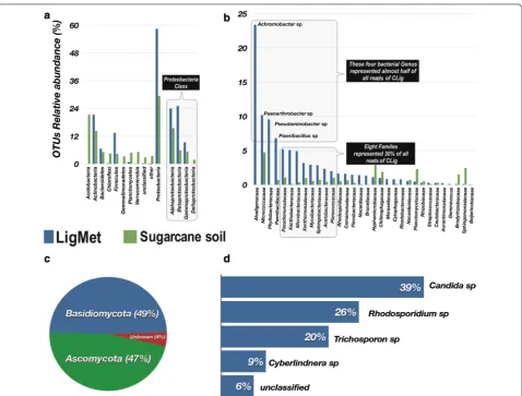 Fig. 3 Taxonomic composition of microbial communities from LigMet and the sugarcane soil samples