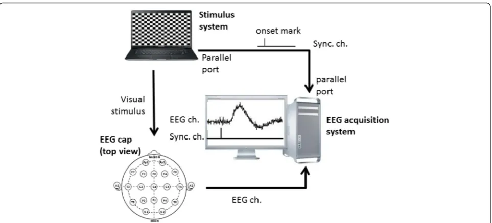 Fig. 1 Typical visual ERP acquisition setup composed of stimulus system and EEG acquisition system