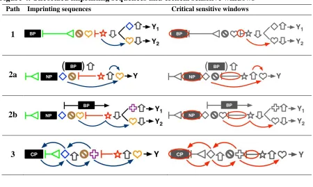 Figure 4. Theorized imprinting sequences and critical sensitive windows 