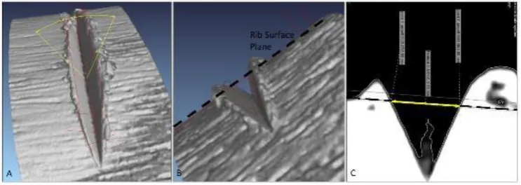 Fig. 10. Example of virtual measurement of cut mark micromorphological on V shaped micro-CT scanned cut mark