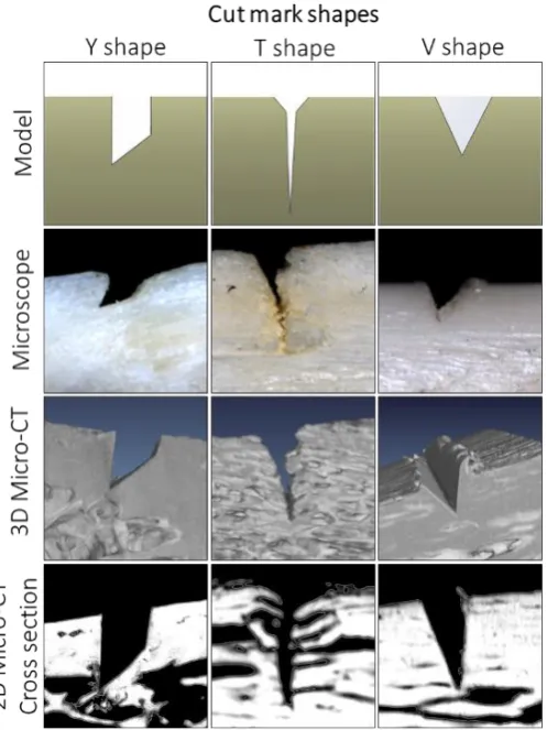 Fig. 11. Example cut mark shapes Y, T and V presented as idealised model, microscope image, 3D micro-CT image and 2D micro-CT cross section