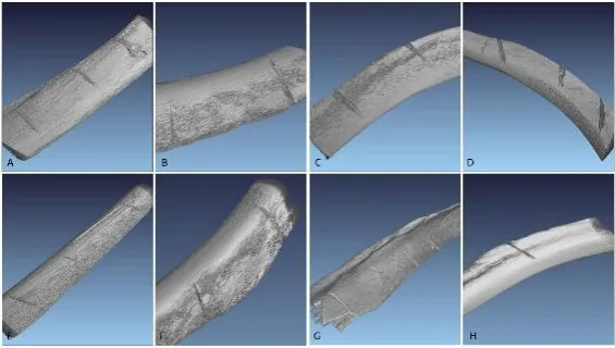 Fig. 12.  Experiment 1 Micro-CT image of: A) Four cut marks from a serrated Knife, (knife 4); B) Five cut marks from by a plain Knife (knife 5); C) 2D cross section of ideal Y shaped cut mark from serrated Knife; D) 3D Y shaped cut mark from serrated blade; E) 2D cross section of ideal V shaped cut mark from a plain blade and F) 3D top down view of cut mark from a plain knife 