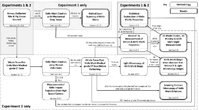 Fig. 1. Diagrammatic summary of the study including experiment 1 and 2, each different imaging method and analysis and which section of the article to reference 