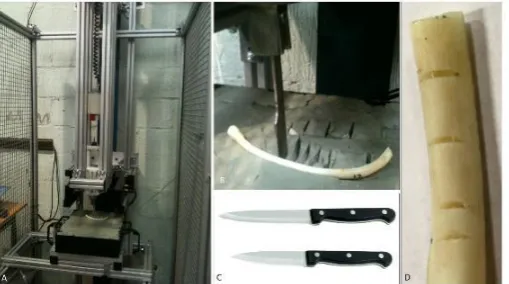 Fig. 6.  A) Drop Test Rig; B) Knife marking dry rib; C) Two knives used in experiment 1, Knife 4, left and Knife 5 right; and D) 4 cut marks generated by Knife 4 