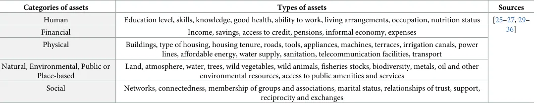 Table 1. Summary of categories of assets, types of assets and sources.