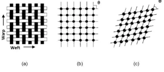 Figure 1 shows a schematic representation of the PJN model. 