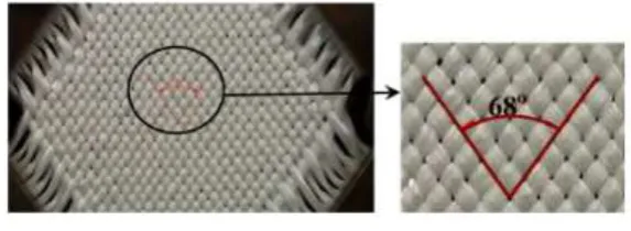 Figure 4: Interface of the image analysis software developed by Harrison et al. [8] 