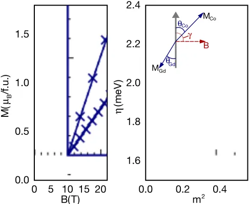 FIG. 2. Magnetization of GdCo5shown on a standard plot (left panel) or after the Sucksmith-Thompson analysis (eq