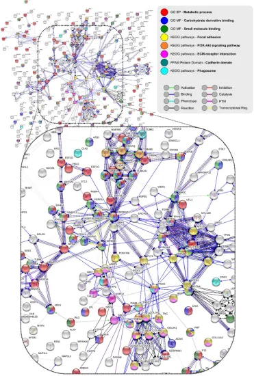 Figure 4. Quartz crystal microbalance (QCM) method amyloid and serum corona (AE) STRING48,49 (string-db.org) protein network (molecular action) produced using database and experimental interactors, with a minimum interaction score of 0.400 and no additiona