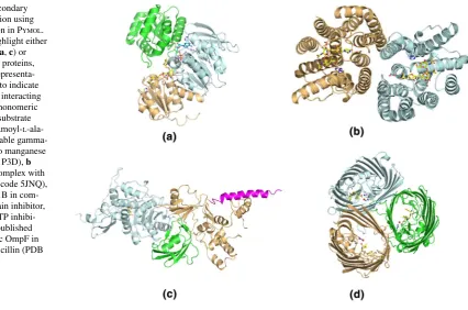 Fig. 3  Standard secondary structure visualization using 