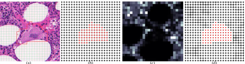 Fig. 2: (a) Pathology image divided into 24 × 24 = 576 blocks. The RoI is delimited by the red contour