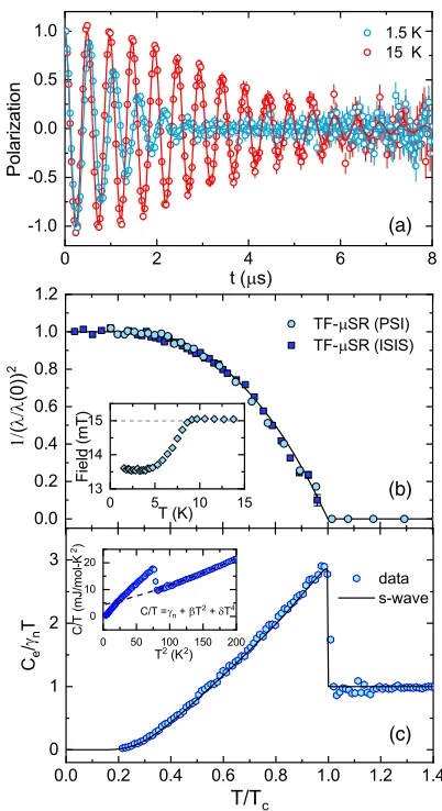 Figure 2(b)calculated fromgap of 1.61(1) meV. By using the 15-mT data, the resultingλsuperfluid density is highly consistent between PSI andISIS, and well described by anweakly-coupled BCS superconductors, thus indicating amoderatelymaterials