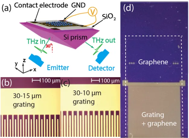 Fig. 3. Schematic of the experimental setup and photograph of the metal grating integrated graphene device