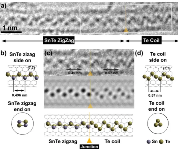 Figure 2. A8 nm section of a 0.95 nm diameter SWNT containing two distinct crystalline regions: a SnTe double zigzag and a Te coil regionDetail from (a), multislice TEM simulation, and structure model of the SnTe zigzag: Te coil junction