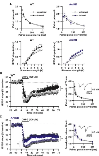 Figure 4. Reversal Learning Training Im-