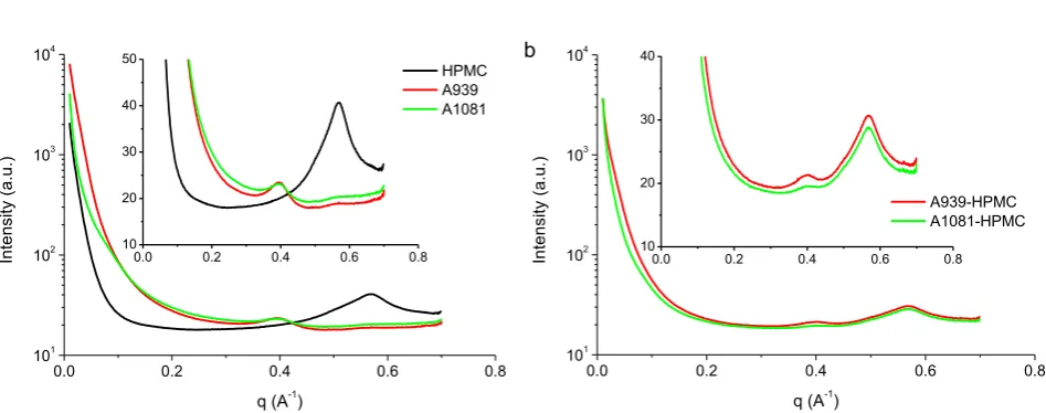 Fig. 6. SAXS patterns for the films of HPMC, HPSs with different MSs, and HPMC/HPS blends 