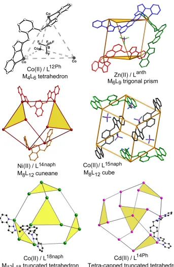 Figure 1 Examples of cage types arising from the different ligands assembling with M(II) ions