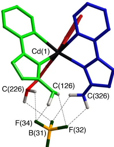 Figure 2 The fac tris-chelate Cd(II) vertex in the structure of [Cd4(L3,3-biph)6](BF4)8, showing how the convergent set of CH protons forms a hydrogen-bond donor 