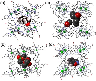 Figure 11 Crystal structures of hosts H or Hw containing as guests (a) cycloundecanone; (b) 