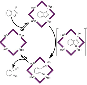 Figure 15 Comparison of the inhibiting effects on the H-catalysed Kemp elimination of 