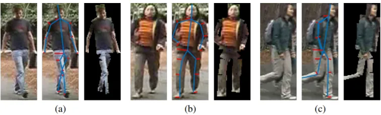 Figure 3: Three examples of a triplet of original images, a skeleton and animage mask that can be produced from the skeleton