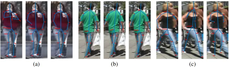 Figure 4: Examples of ground-truth, deep predicted skeletons and PLS pre-dicted skeletons on the VIPeR [1] data set: (a) An example image with aRMSE of 6.5 pixels when using the deep method, and 7.6 pixels when usingthe PLS method; (b) The image with the m