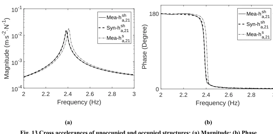 Fig. 13 Cross accelerances of unoccupied and occupied structures: (a) Magnitude; (b) Phase 