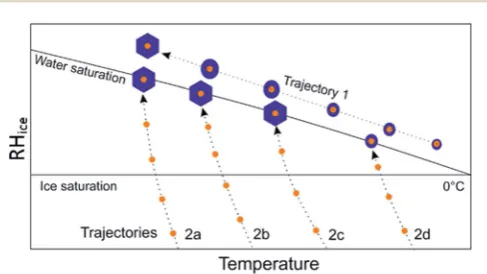 Fig. 7Schematic diagram showing diﬀerent pathways to ice nucle-ation for mineral dust particles internally mixed with ammonium salts(small orange circles)