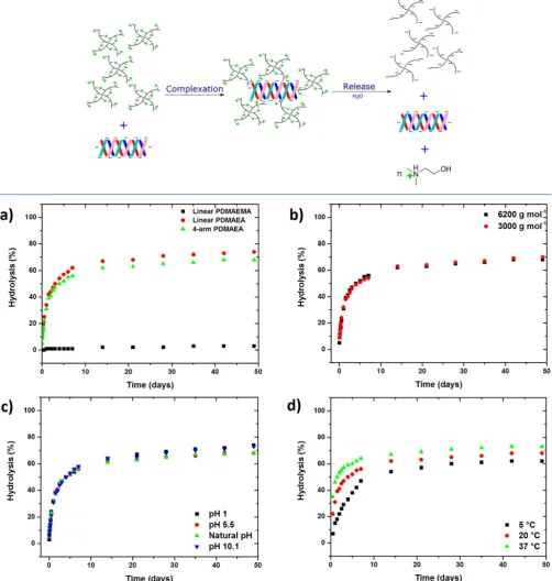 Figure 1. Eﬀect of (a) architecture, (b) molecular weight, (c) temperature, and (d) pH on the rate of hydrolysis of 6200 g mol−1 star PDMAEA.