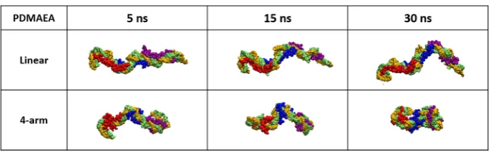 Figure 3. MD simulation snapshots of DNA/PDMAEA complexation for both linear and star polymer during various stages of wrapping process.Simulation shows signiﬁcant bending of the double helix with the star polymer complex