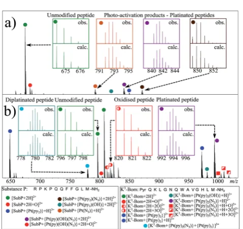 Fig. 1nESI FT-ICR mass spectra of (a)red indicates oxidised species (both peptide and platinated peptides),other colours indicate platinated peptide species with didistributions