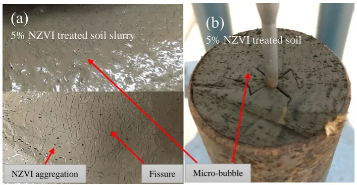 Figure 2. Features of soil samples: a) appearance of 5% nZVI treated soil slurry (water 