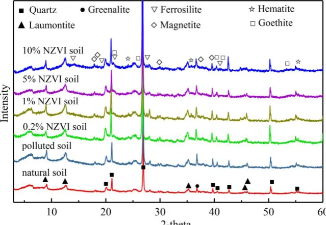 Figure 5. X-ray diffraction (XRD) patterns of the soil samples. 