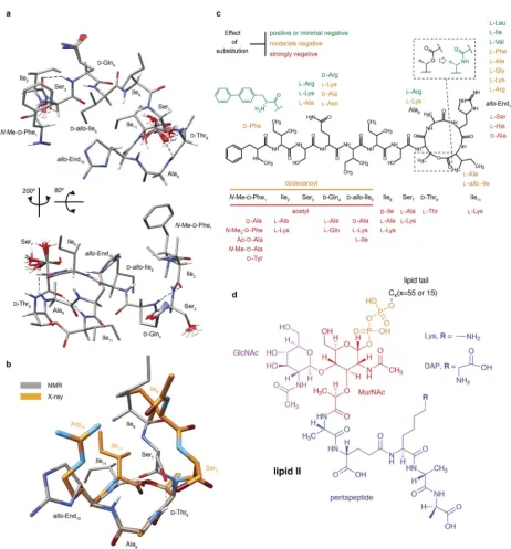 Fig. 1Structural details of teixobactin. (a) Solution NMR structure of teixobactin in DPC micelles presented from two dipresent only in a subset of the 20 lowest energy structures in the NMR structure