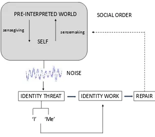Figure 1: Pre-interpretation, noise and identity processes   