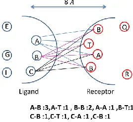 Figure 1 Number of Interacting Interface Features that lie within 8  Angstorm distance between ligand and receptor residues