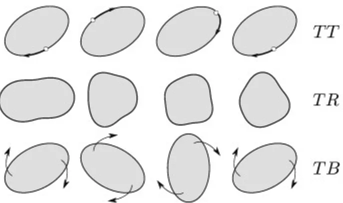 Figure 1.10: An illustration of the three types of behaviour that vesicles undergo in planar ﬂuid-ﬂow
