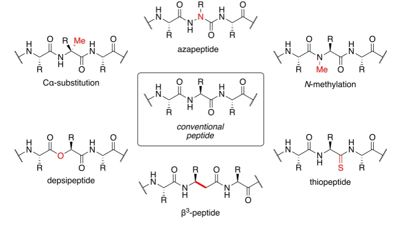Figure 1.2 Peptidomimetics with modification of the peptide backbone.4 