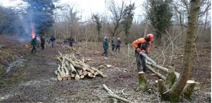 Figure 6.4:  Nick Coppicing with the Thursday Volunteers 