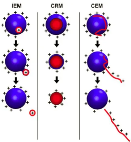 Figure 1.6.  ESI models, including ion ejection method (IEM), charge residue 