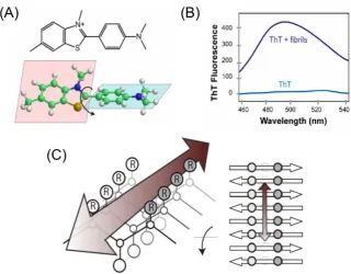 Figure 1.30.  Diagram showing (A) the molecular structure of ThT, (B) the 