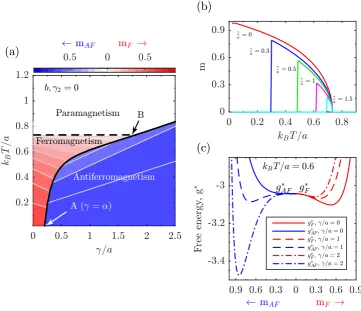 Figure 4.2: (a) The temperature - γ/aasgtransitions, respectively. (b) The total order parameter normalised inside the unitcell, phase diagram with the colour scheme deﬁned mF = m1 = m2 in red when g∗F < g∗AF and mAF = m1 = −m2 in blue when∗F > g∗AF .Dashe