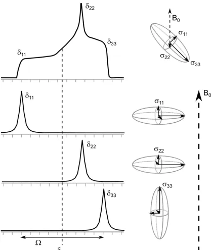 Figure 2.1: The eﬀect of CSA on a static powder sample. The δ11, δ22 and δ33 componentsare indicated, showing examples of how their orientation with respect to B0 can causevariation in chemical shift