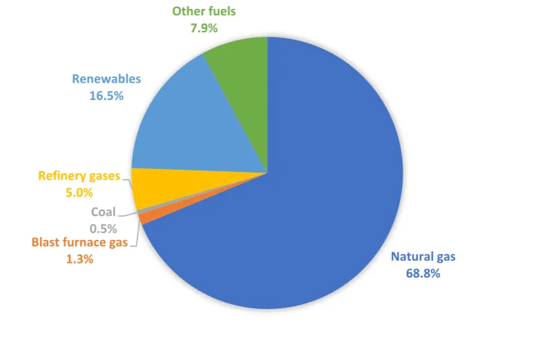 Figure 1.2 Types of fuel used for CHP in the UK in 2017. 