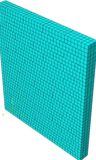 Fig. 12. Generated mesh of numerical models.